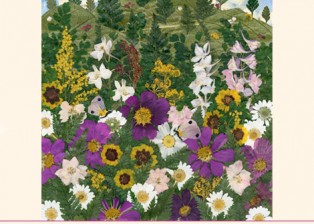 New Print Gallery slide for "Alpine Meadow"