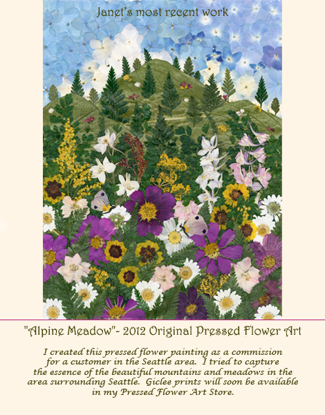 New Print Gallery slide for "Alpine Meadow"