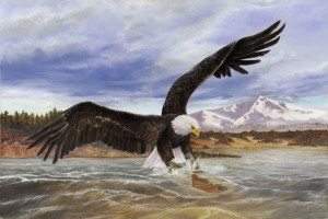 Eagle Fisher, Original oil painting of a bald eagle catching a fish by Lori Garfield