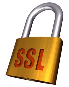 SSL padlock icon