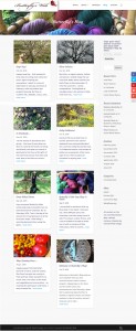 butterflysweb.com blog