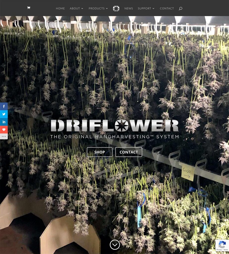 DriFlower.com New Website Launch